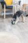 Preview: Trixie Denta Fun Ball Hundespielzeug